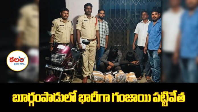 Burgampadu Ganja Seizure