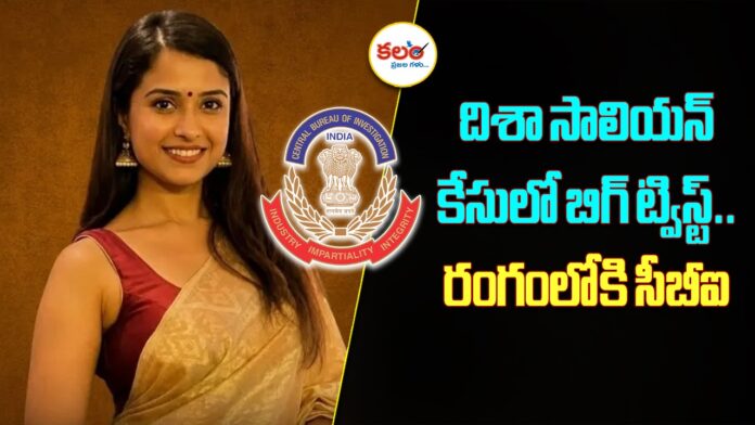 Disha Salian Death Case
