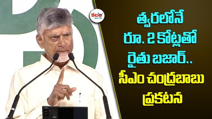 CM Chandrababu