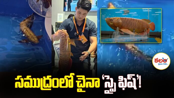 China Robotic Fish