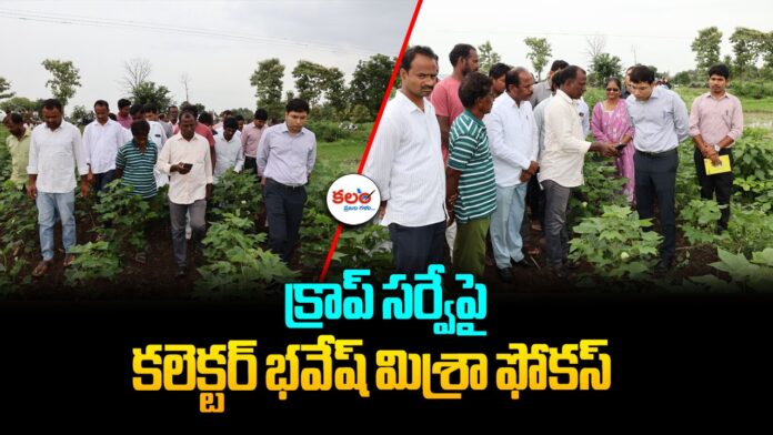 Crop Survey