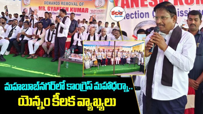 MLA Yennam