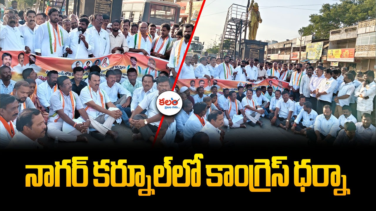 Congress Protest