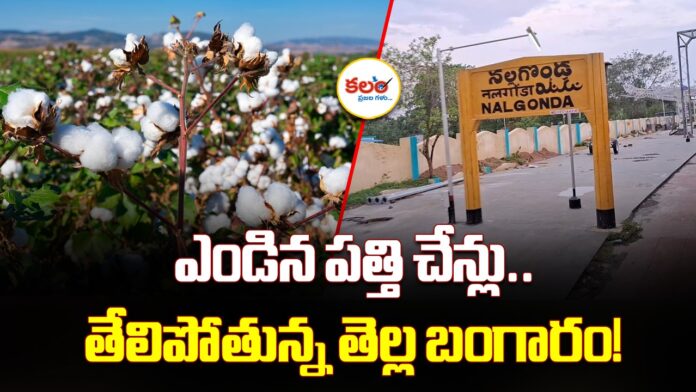 Nalgonda