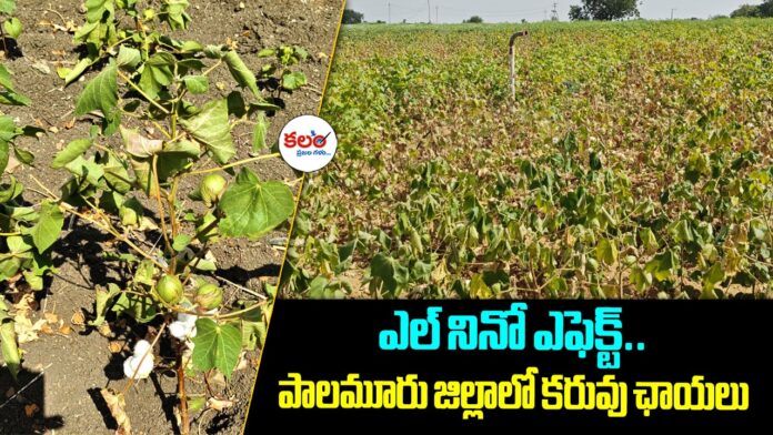 Mahbubnagar Farmers