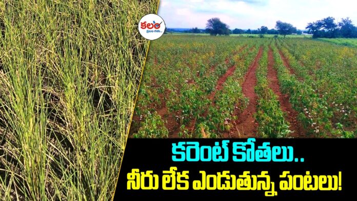 Mahabubnagar