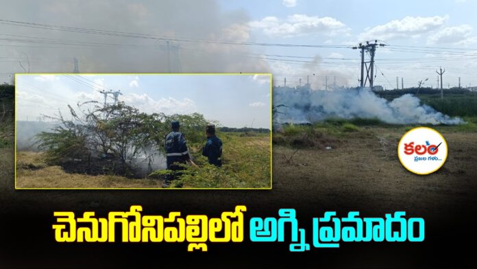 Chenugonipalli