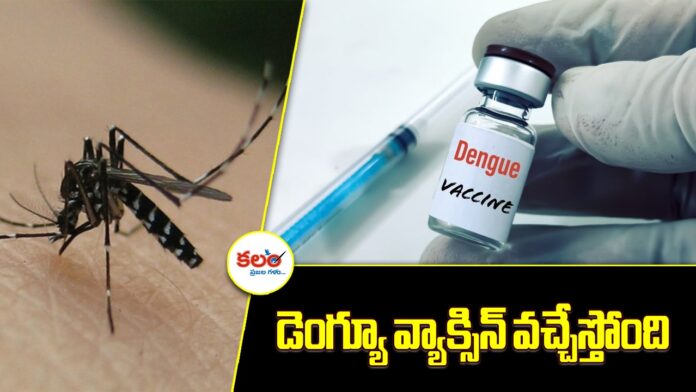 Dengue Vaccine