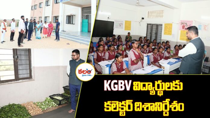 Gadwal Collector