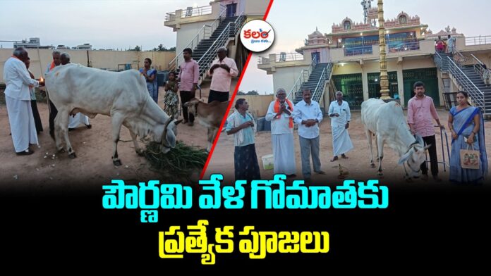 Gomatha Pooja