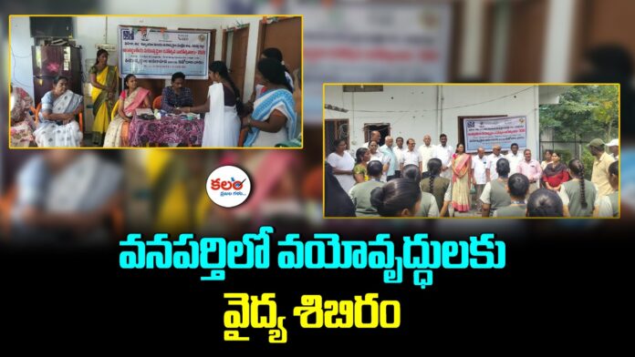Wanaparthy