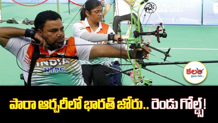 India Para Archery