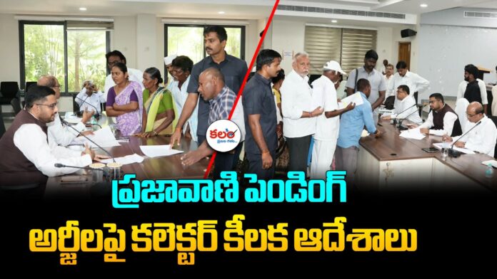 Jogulamba Gadwal Collector