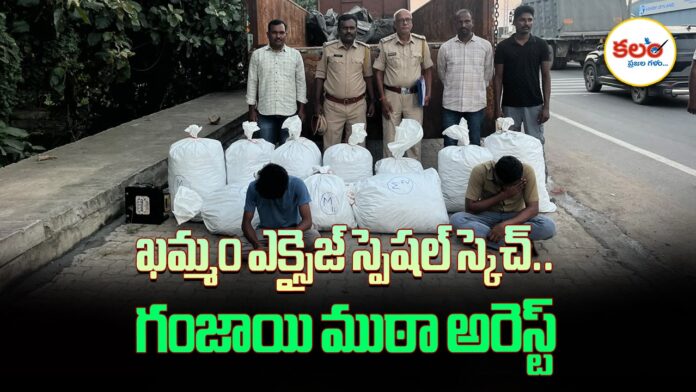 Excise Enforcement