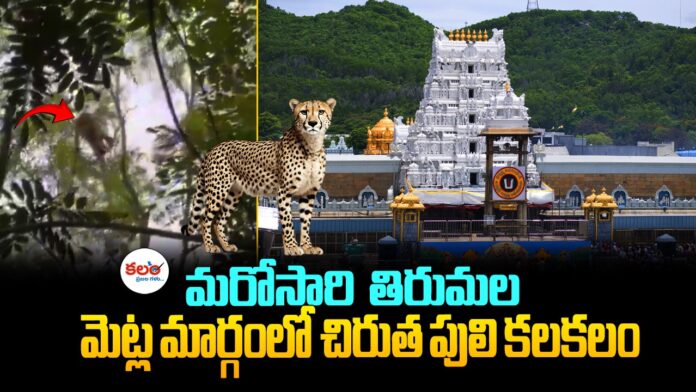Tirumala