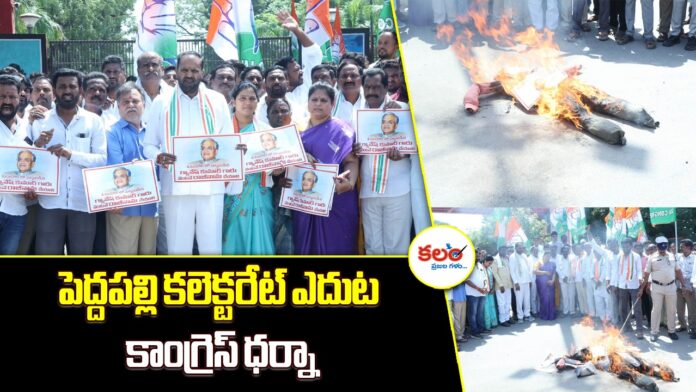Congress Protest