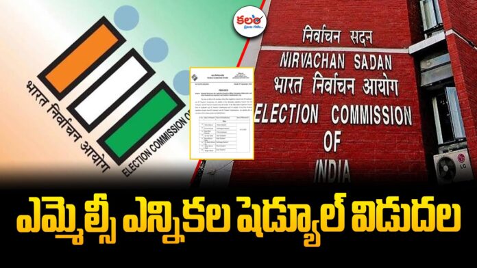 MMLC Elections