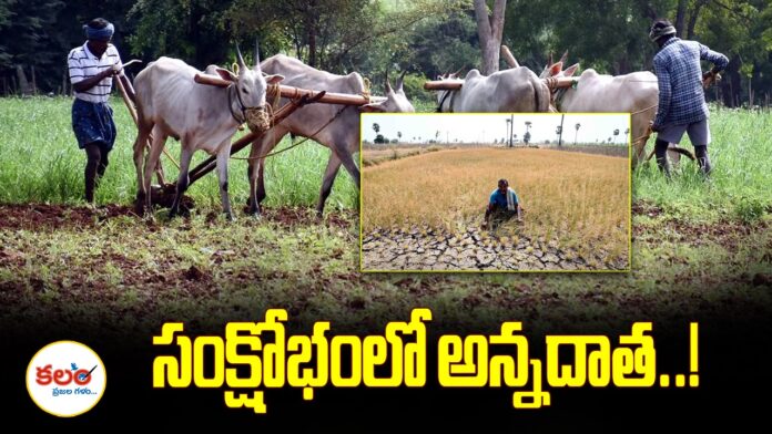 Agriculture Crisis