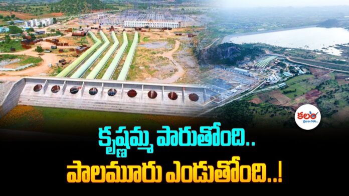 Krishna Water