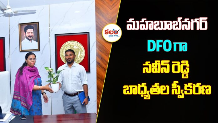 Naveen Reddy