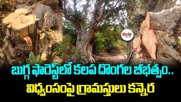 Marriguda