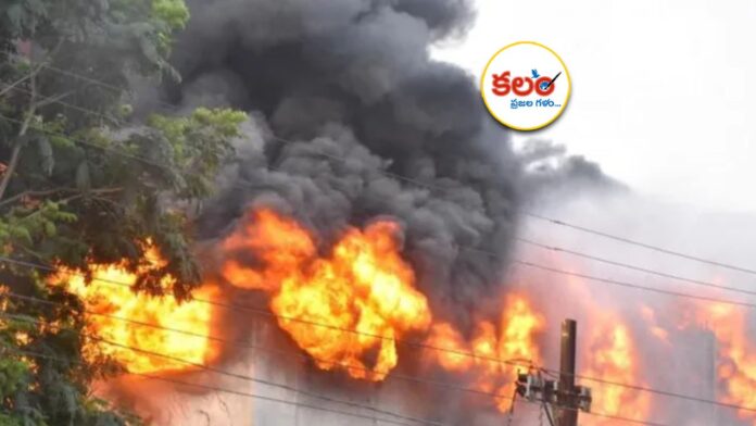 Jogipet Fire