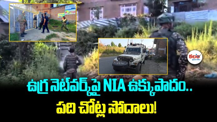 NIA Raids