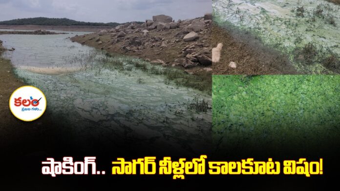 Nagarjuna Sagar