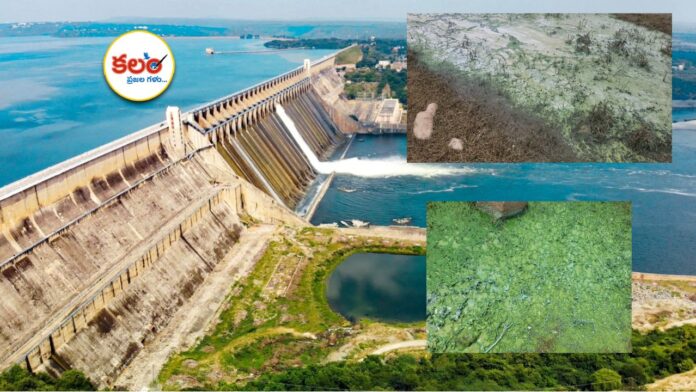 Nagarjuna Sagar