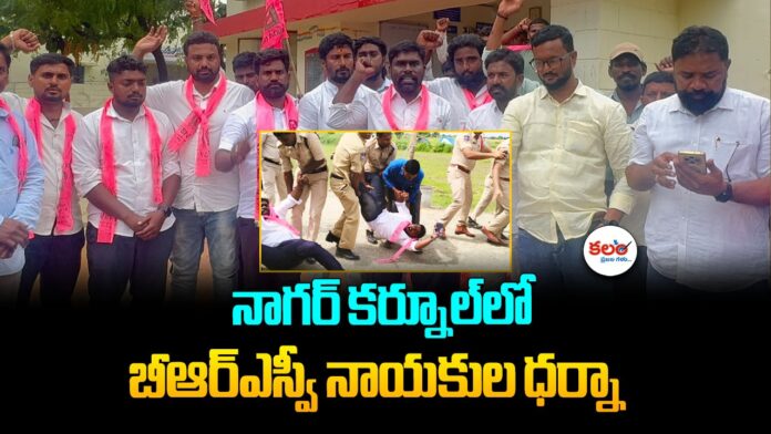 Nagarkurnool BRSV
