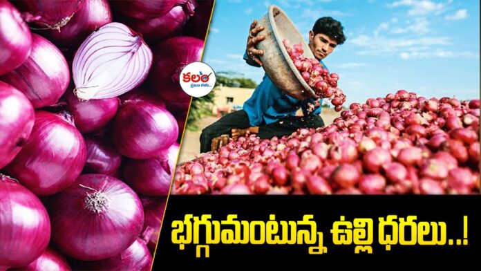 Onion Prices