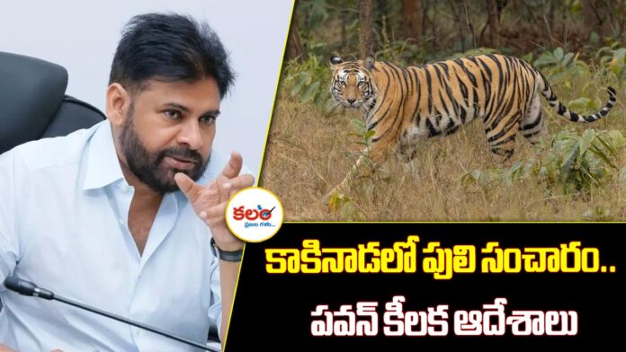 Pawan Kalyan