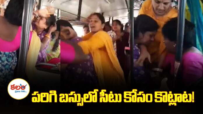 PariGi bus fight