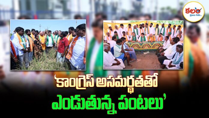 Ramchander Rao