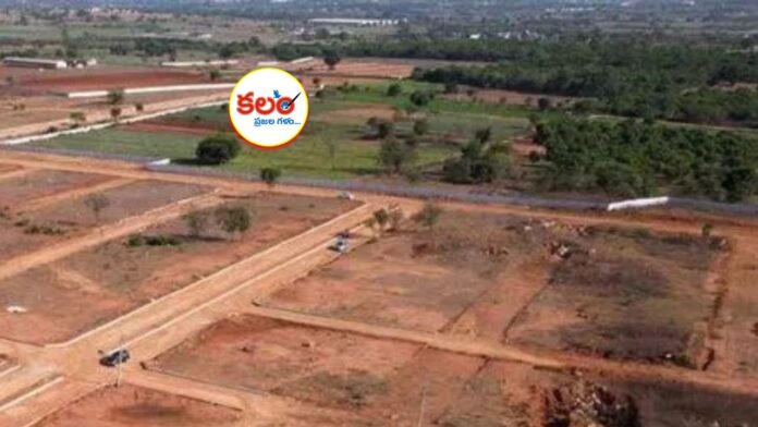 Land Grabbing Act