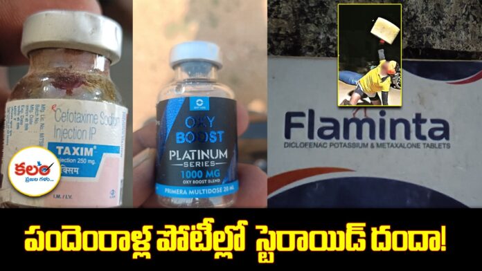 Jogulamba Gadwal