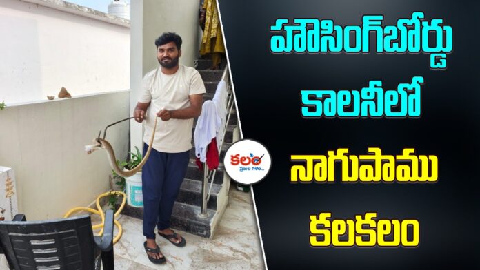 Wanaparthy