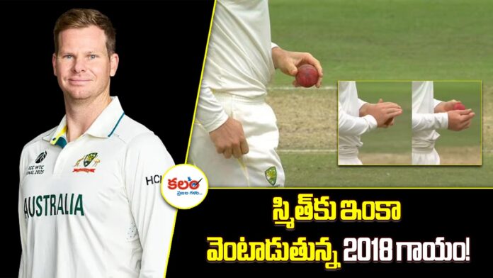 Steve Smith