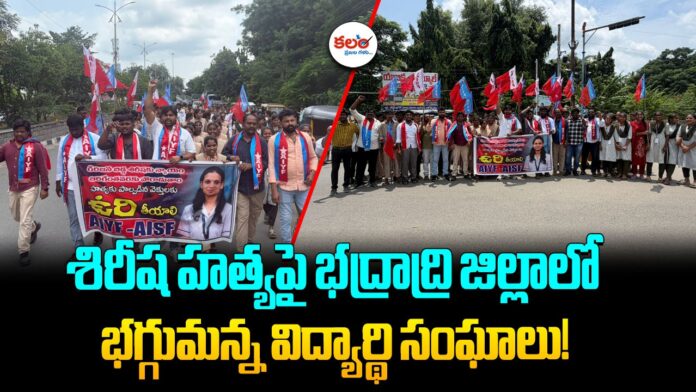 Bhadradri Kothagudem