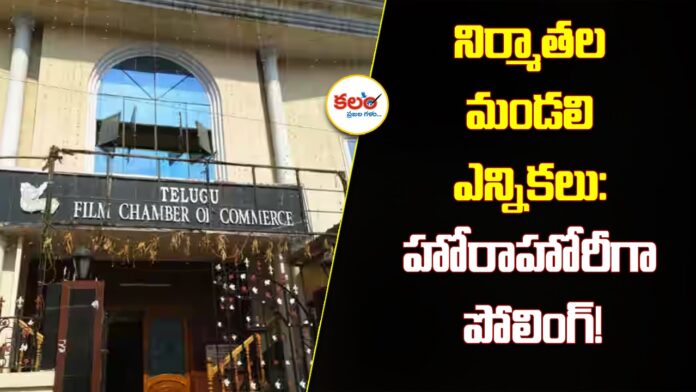 TFPC Elections