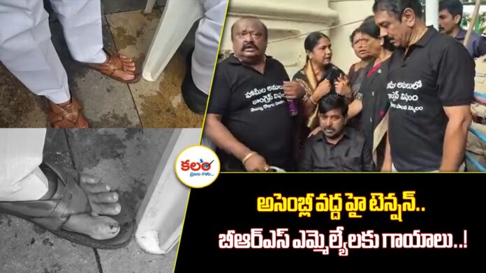 Telangana Assembly