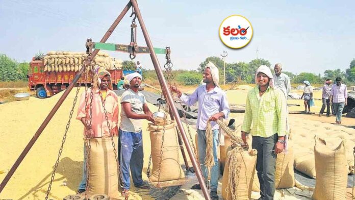 Paddy Procurement