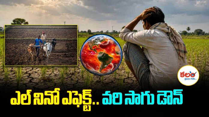 Telangana Kharif
