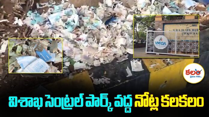 Visakhapatnam Torn Currency