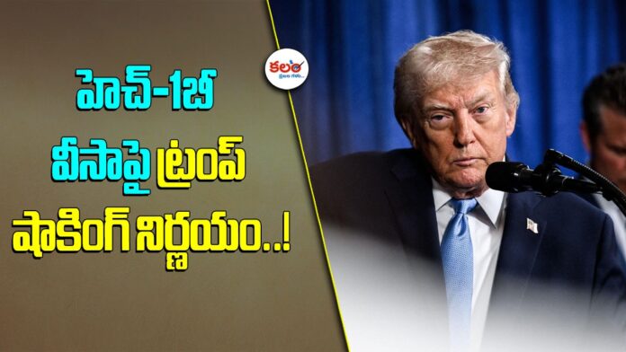 H-1B Visa