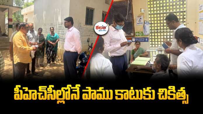Wanaparthy Collector