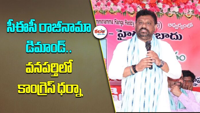 DCC President