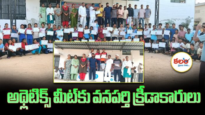 Wanaparthy