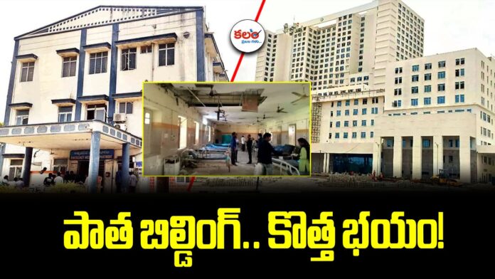 Warangal MGM