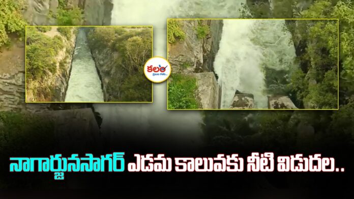 Nagarjuna Sagar Left Canal